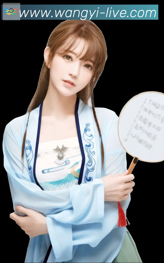 网易体育荣誉